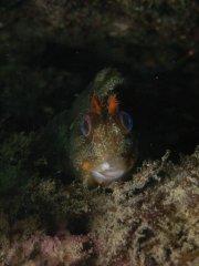 Member Photos